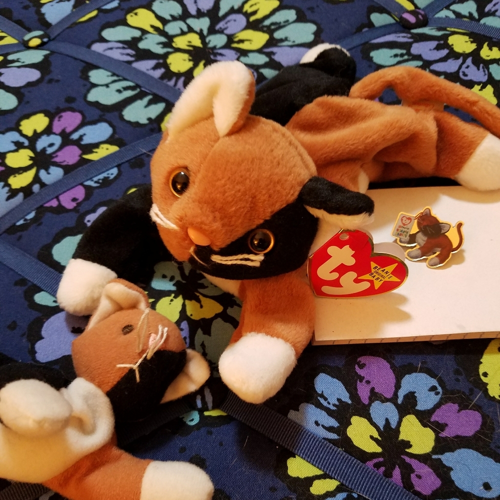 Ty 1996 Chip with errors/Pin and babychip